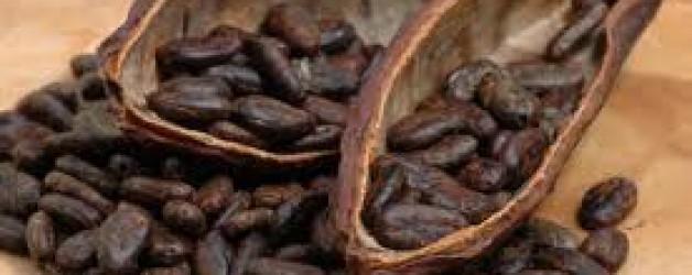 Raw Cacao ‘Treat Balls’