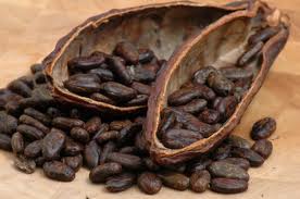 Raw Cacao  - A Super Food